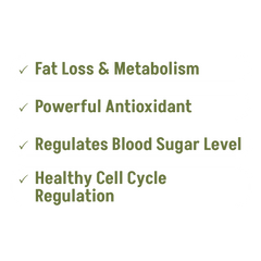 緑茶抽出物カプセル